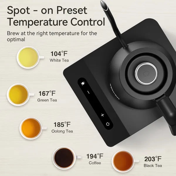 Electric Gooseneck Kettle Temperature Control Pour